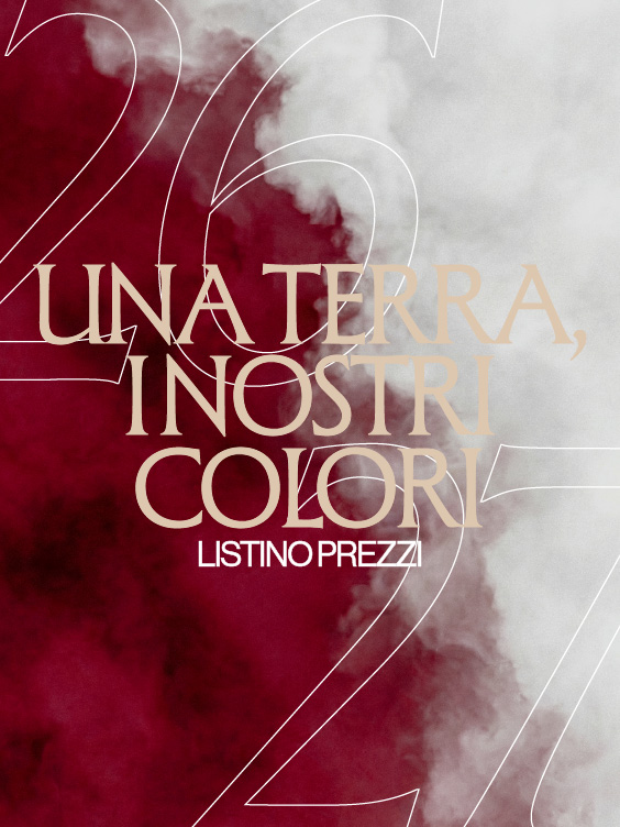 ILLUSTRATOR PER SITO 24